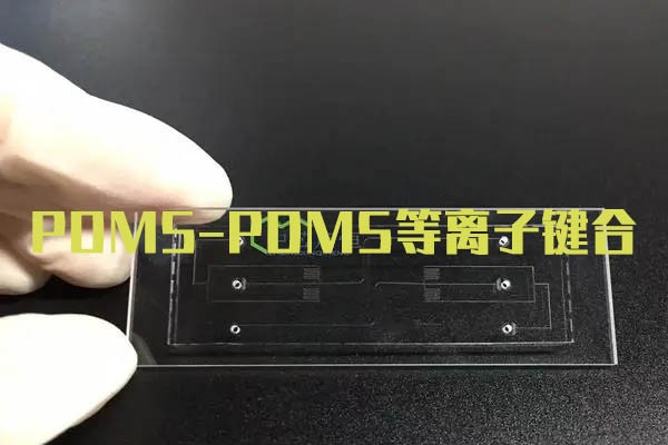 PDMS-PDMS等离子键合